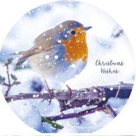 Luxury Charity Christmas Cards - Snowfall Robins - Pack of 10